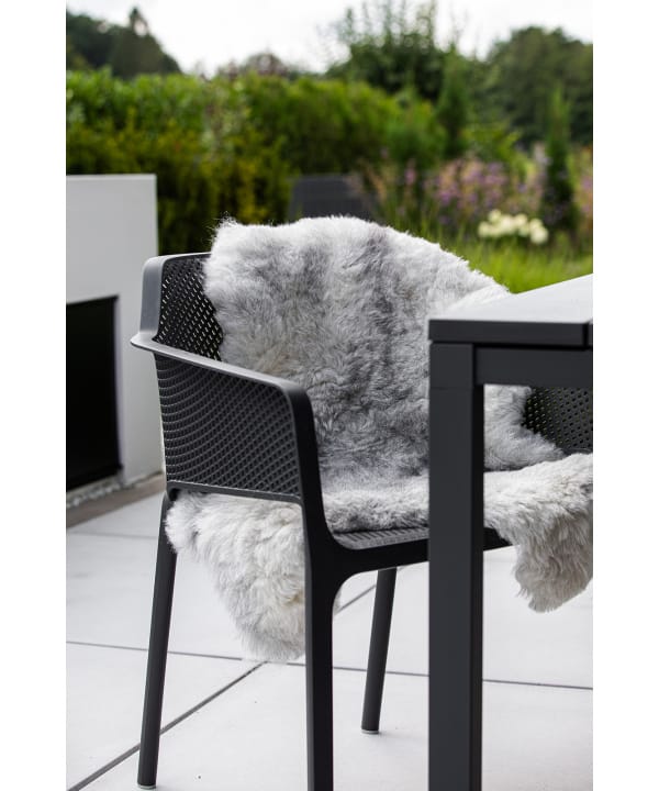 Lammfell grau draußen