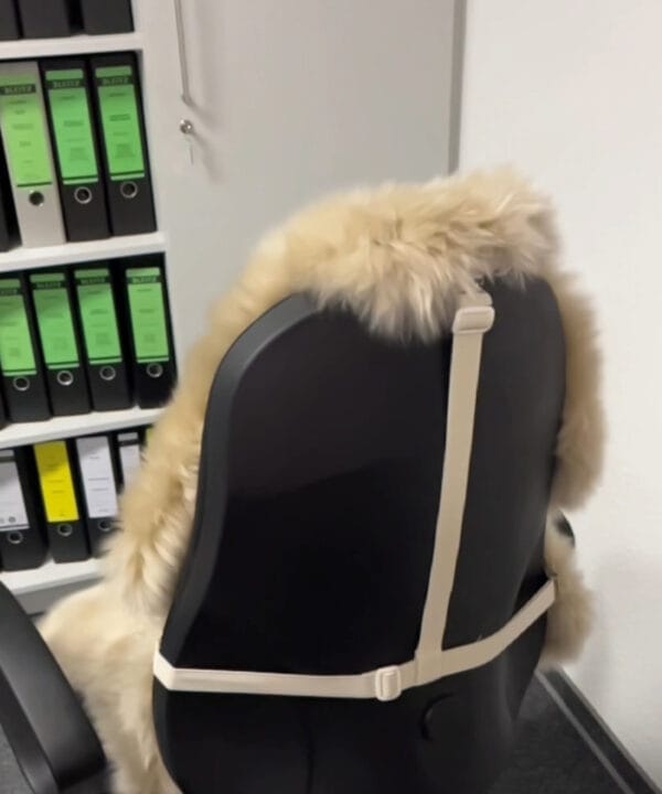 Fell auf Bürostuhl fixieren