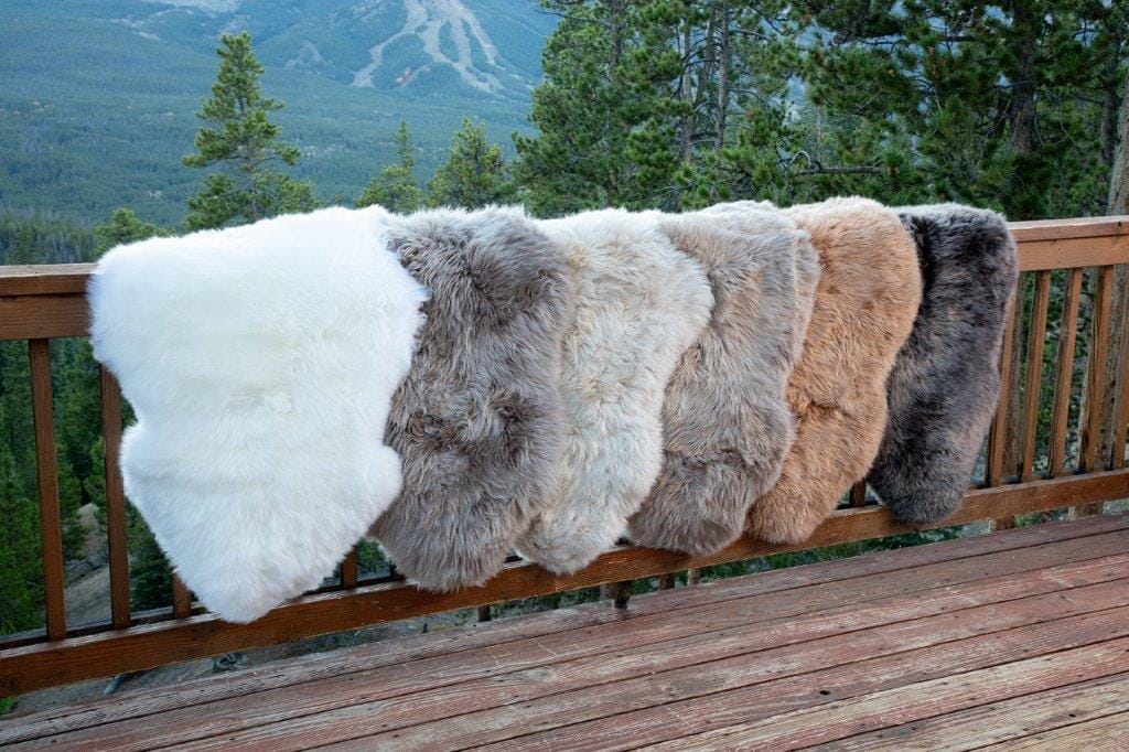 Schaffelle langwollig auf Balkon_kl