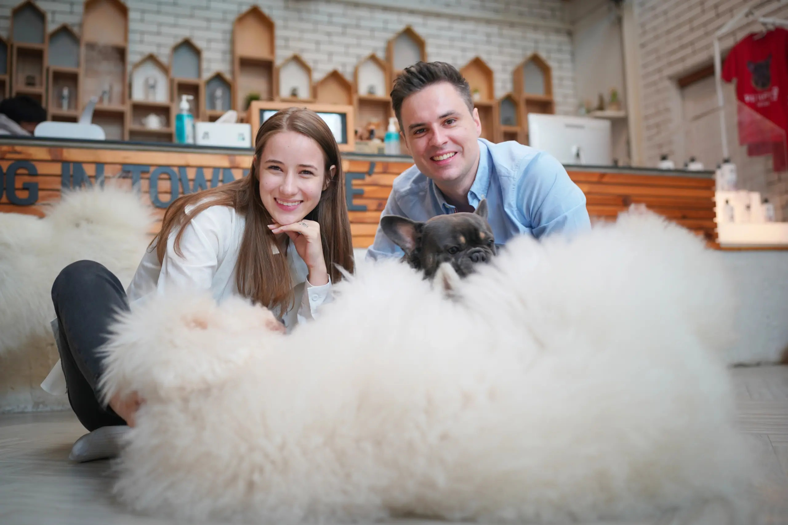 Echte Schaffelle kaufen