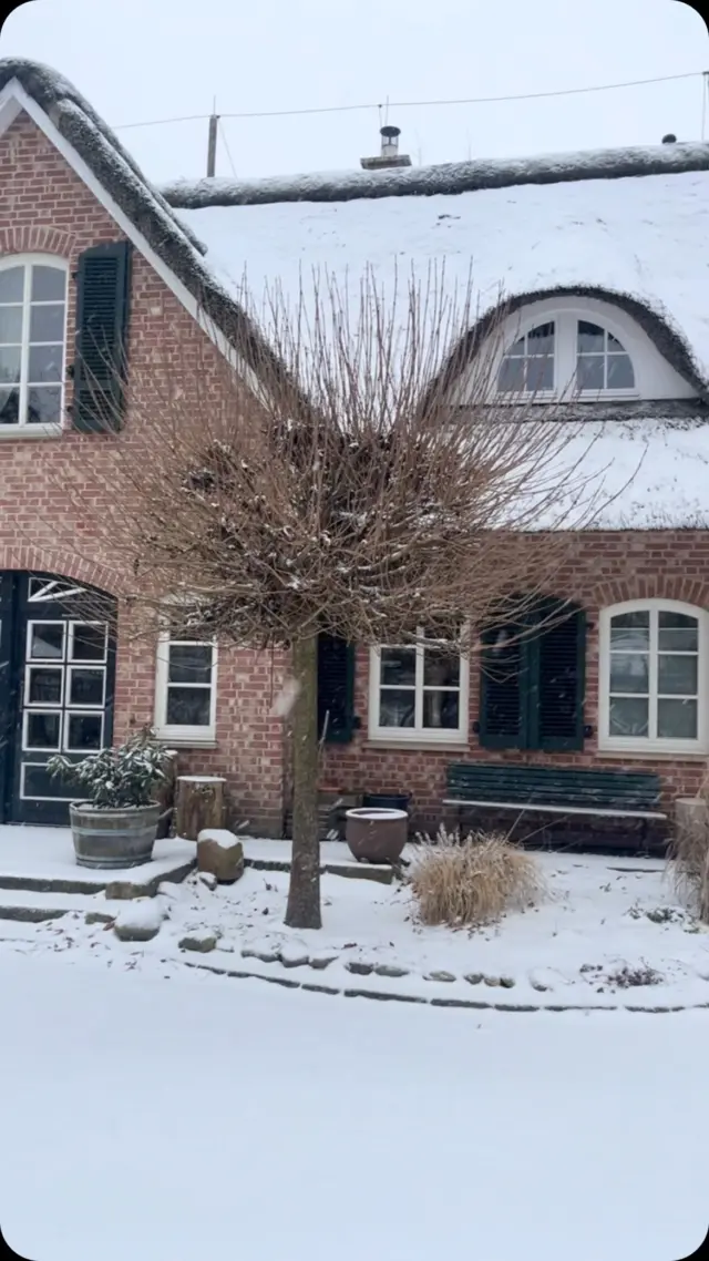 Draußen tanzen die Schneeflocken, während drinnen das Feuer knistert und weiche Schaffelle für wohlige Gemütlichkeit sorgen. Ein Ort zum Träumen, Entspannen und einfach Sein. ❄️✨Würdest du lieber durch den Schnee spazieren oder es dir drinnen mit einem heißen Tee gemütlich machen? ☕🛋️#Wintertraum #Gemütlichkeit #Reetdachhaus #Winterwunderland #HyggeFeeling #Schneeliebe #Landleben #Rustikal #HyggeHome #Wintervibes #Schneezauber #HomeSweetHome #Kuschelig #Idylle #NordicLiving #DraußenKaltDrinnenWarm #SkandiStyle #Wohlfühlort #HausImSchnee #Naturnah #Winterromantik #Entschleunigung #Schaffell #ScandinavianDesign