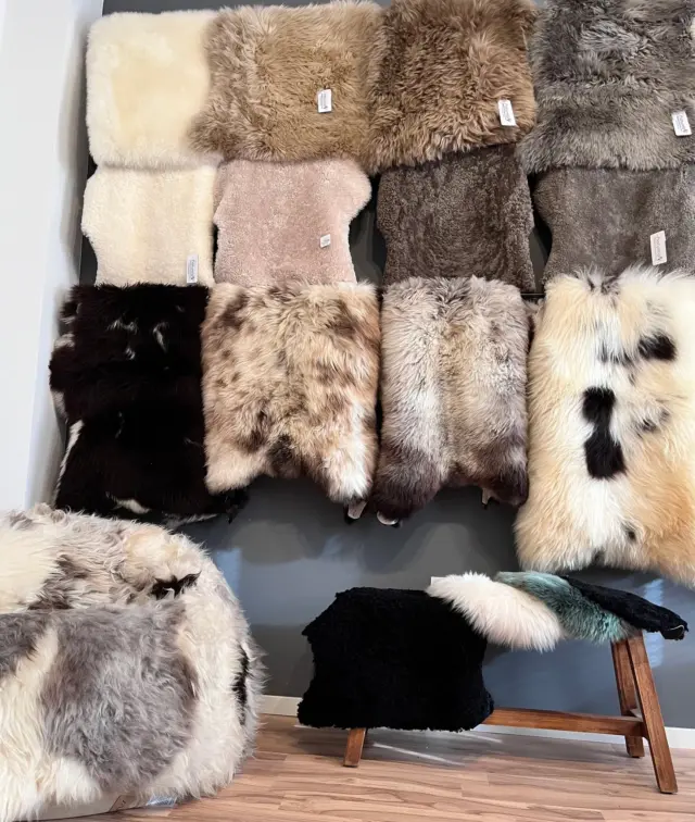 ✨🦢 Neu in unserem Ausstellungsraum ✨Wir haben umgestaltet und eine wunderschöne Fellwand geschaffen 🤍🪞 – sie bringt Wärme, Gemütlichkeit und Natur in den Raum.👉 Kommt gerne vorbei in Drentwede, um euch die Felle persönlich anzuschauen und anzufühlen – ihr werdet den Unterschied spüren! ✨ Nur nach Terminabsprache.Wir freuen uns auf euren Besuch! 🐑💚#NaturelsSchaffelle #SchaffellLiebe #Fellwand #Drentwede #Diepholz #Wohnideen #InteriorInspo #GemütlichWohnen #Wohnträume #NatürlichEinrichten #Handgemacht #Ausstellungsraum #Visbek #OldenburgerLand #Cloppenburg #Niedersachsen #Heimatliebe